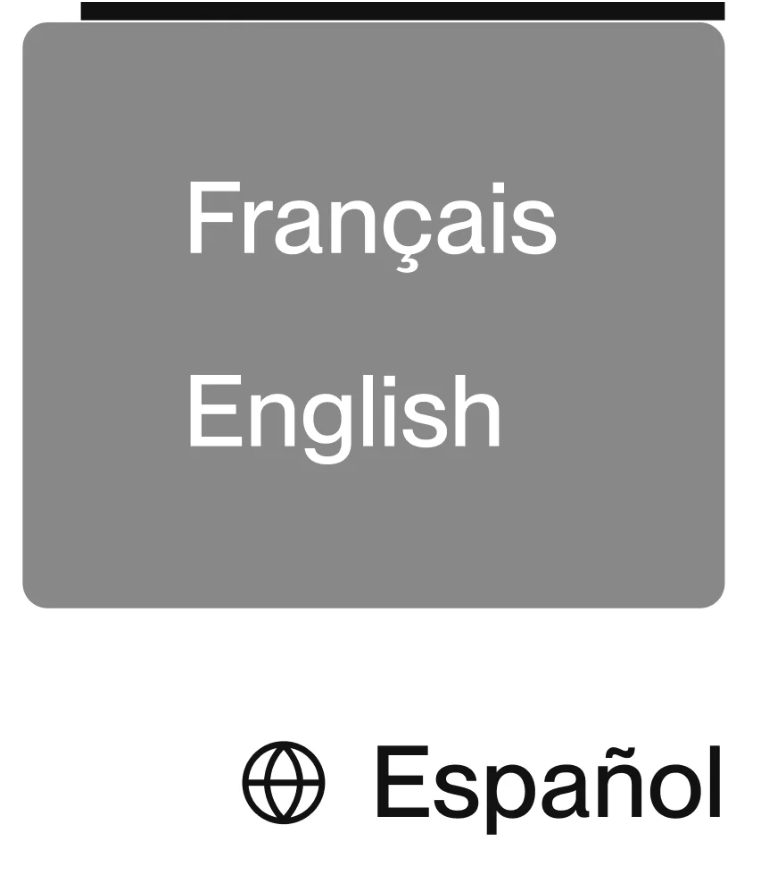 Selector de idioma en la web